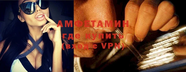 крисы Горняк