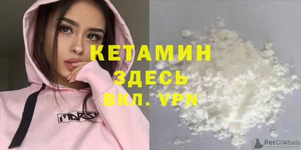 крисы Горняк