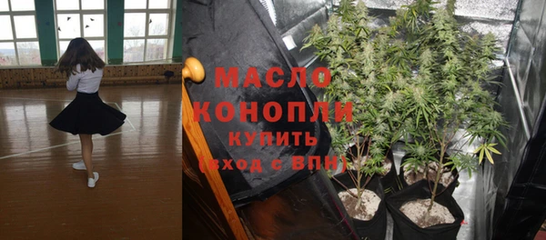 крисы Горняк
