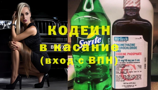крисы Горняк
