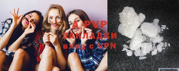 крисы Горняк