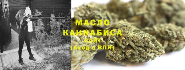 крисы Горняк