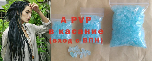 крисы Горняк