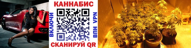 Купить где  Кудымкар  Шишки марихуана гибрид 